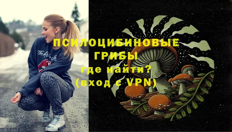 Псилоцибиновые грибы Psilocybe Алупка